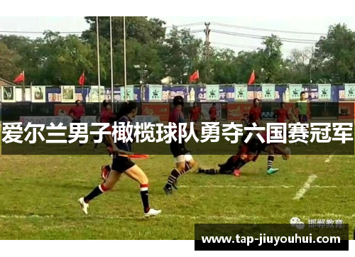 爱尔兰男子橄榄球队勇夺六国赛冠军 爱尔兰男子橄榄球队勇夺六国赛冠军